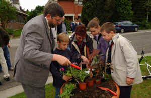 plantations-fleurs-beez-4.jpg (39990 bytes)