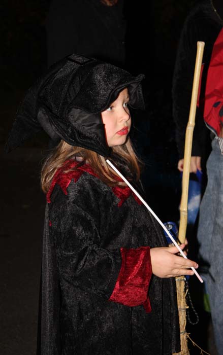 halloween-parade-beez-2009-08