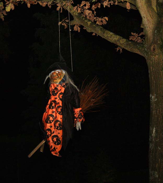 halloween-parade-beez-2009-25