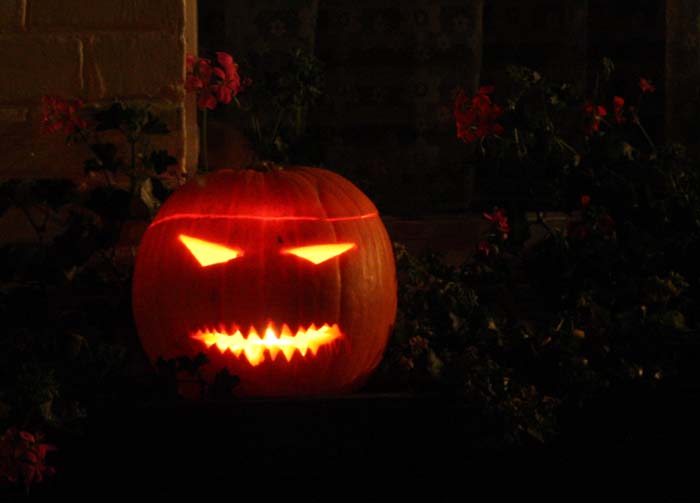 halloween-parade-beez-2009-32