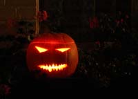 halloween-parade-beez-2009-32