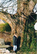 halage_col4.jpg (43332 bytes)