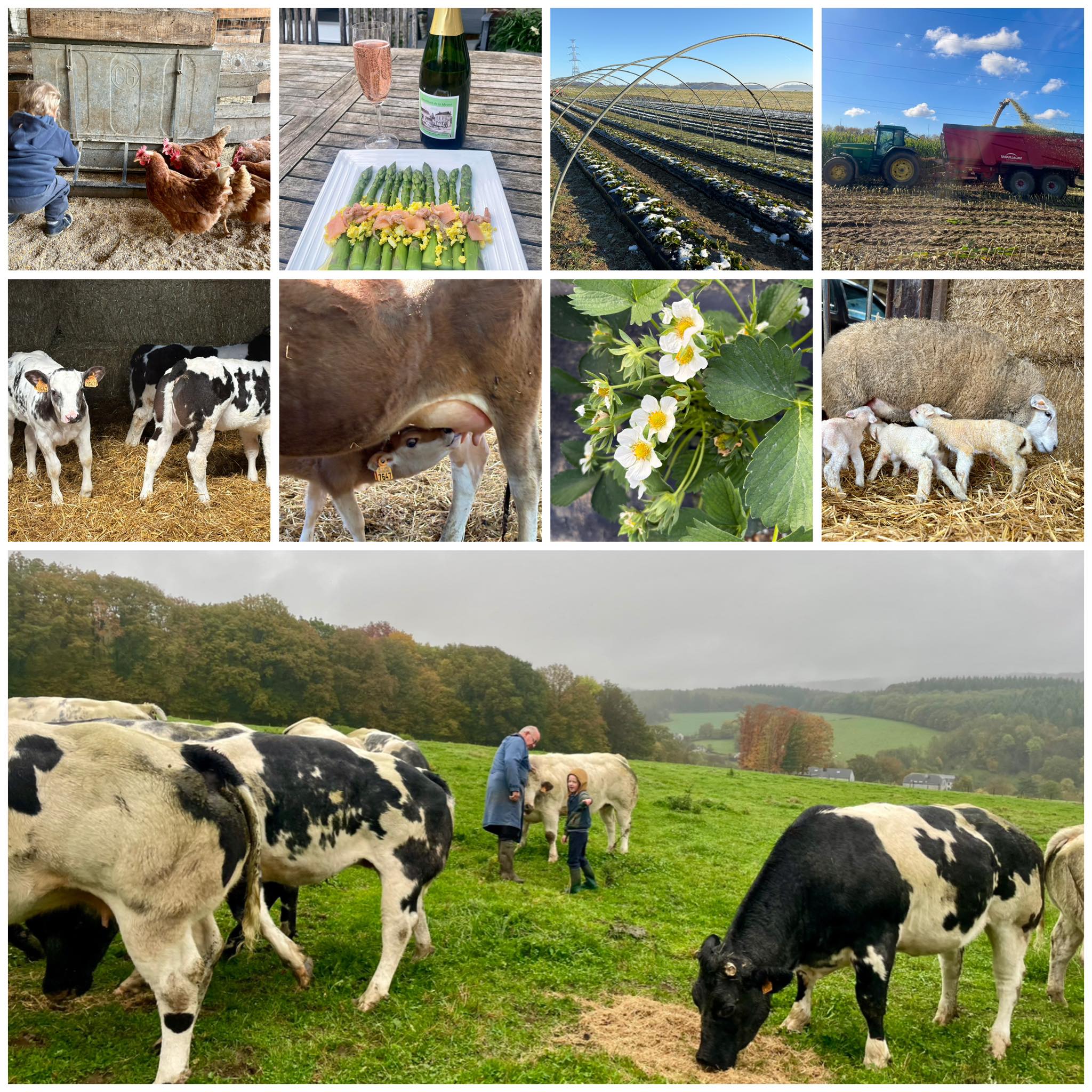 La ferme du château Beez
